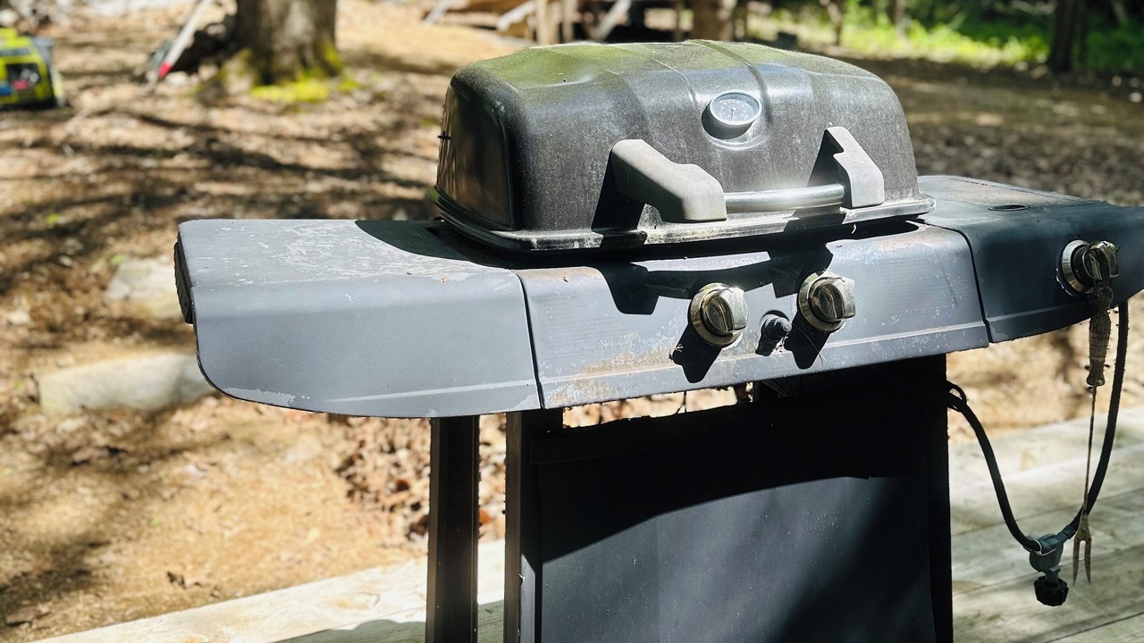 Photo of Outdoor in Thorndike