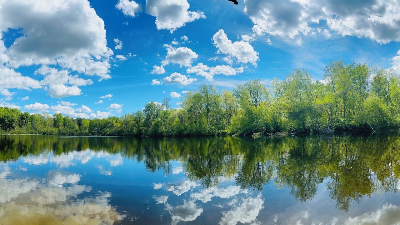 Photo of Others in Thorndike