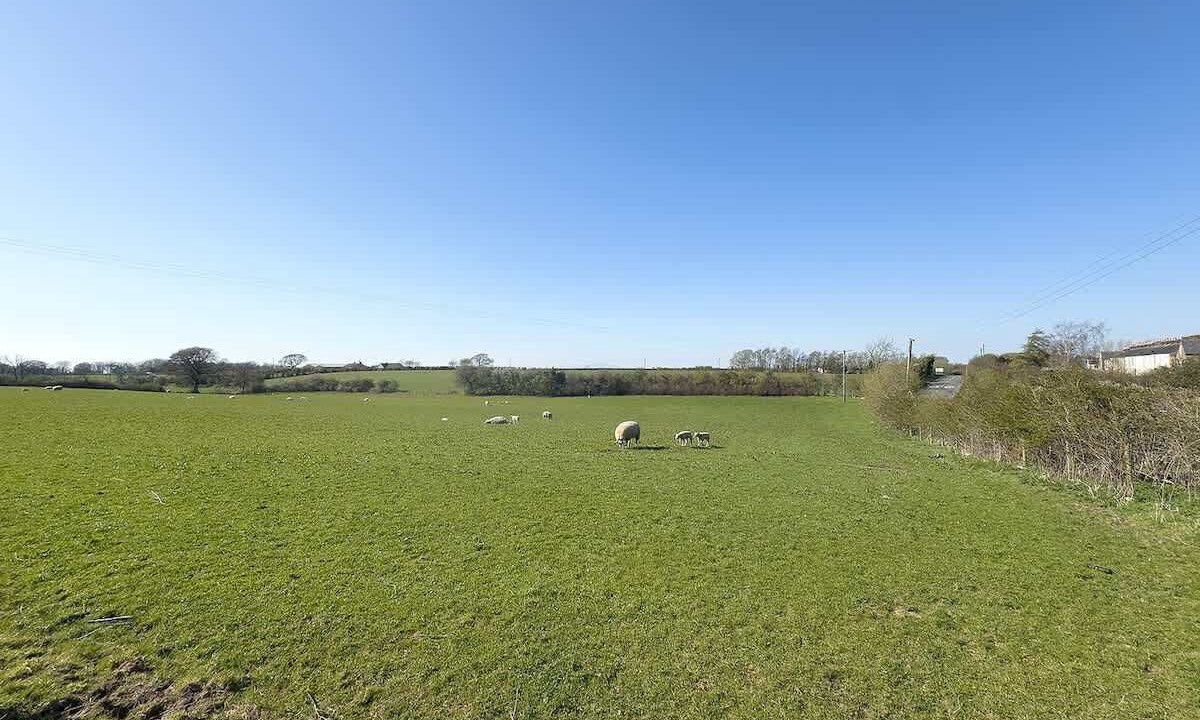 Photo of Others in Mealsgate