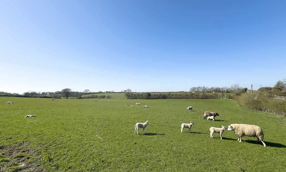 Photo of Others in Mealsgate