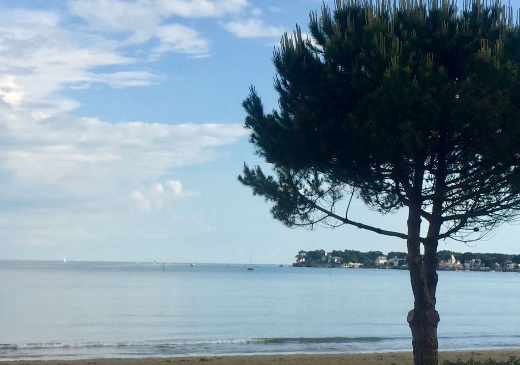 Photo of Others in La Baule-Escoublac