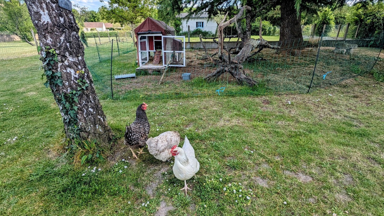 Photo of Outdoor in Chabris