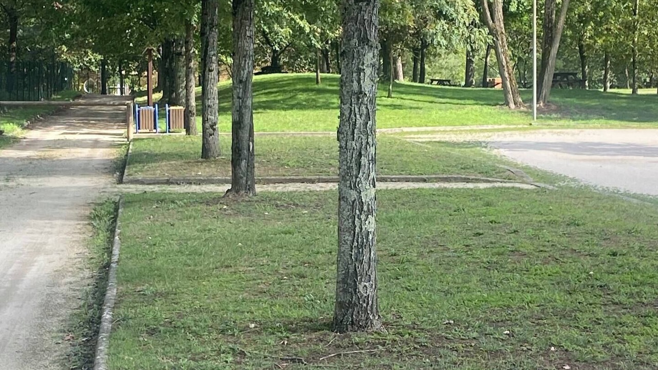 Photo of Others in Montfort-le-Gesnois