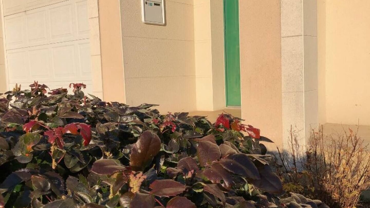 Photo of Outdoor in Montfort-le-Gesnois