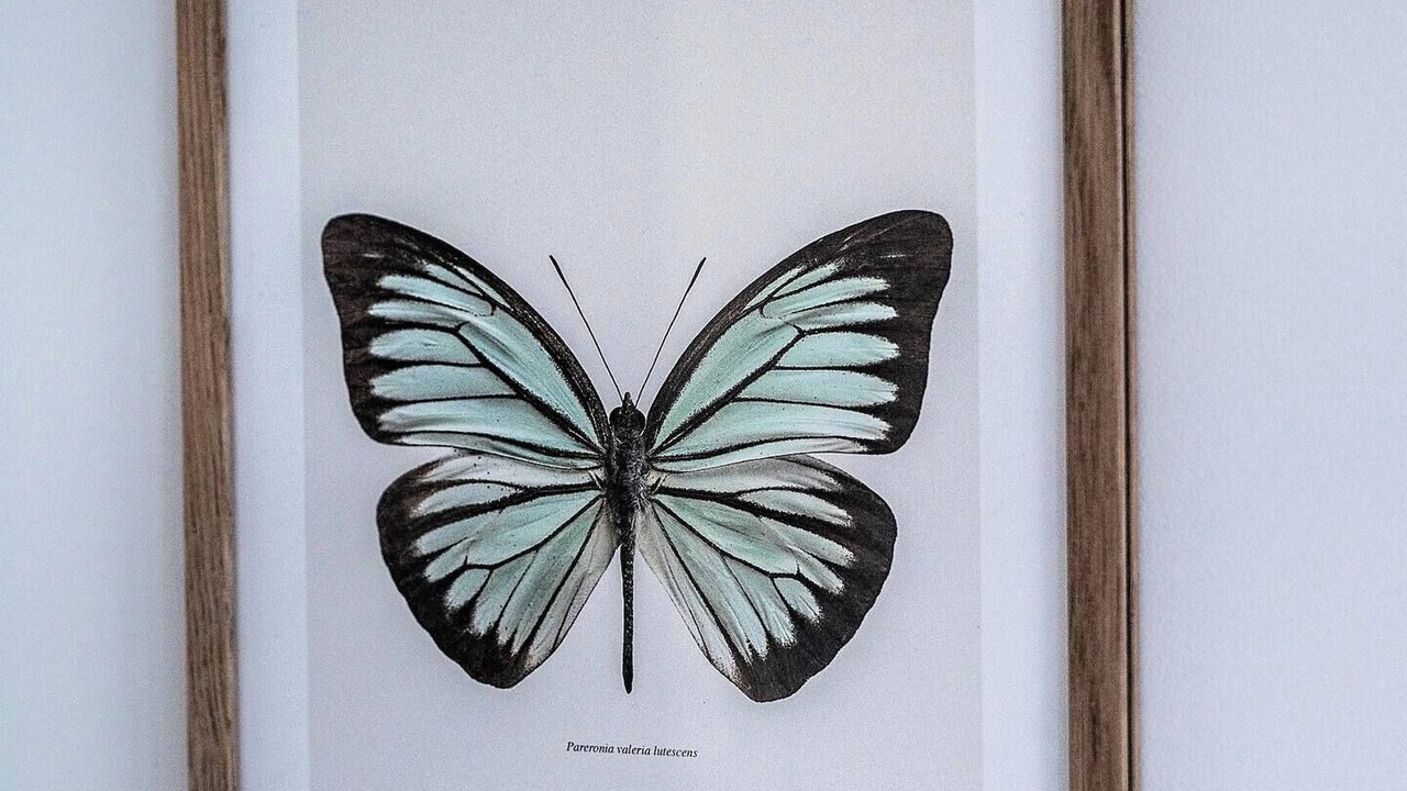 Photo of Others in Wellington