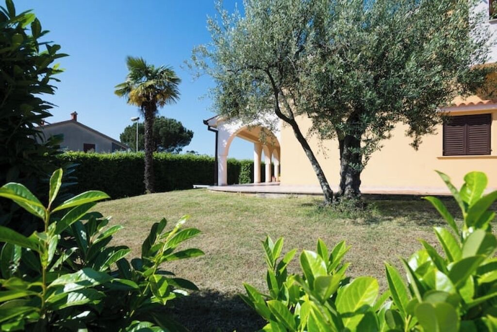 Photo of Outdoor in Gulici