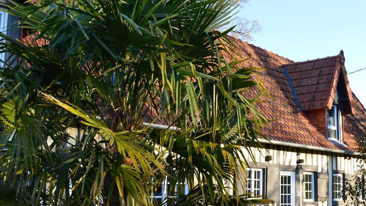 Photo of Outdoor in Ouville-la-Riviere