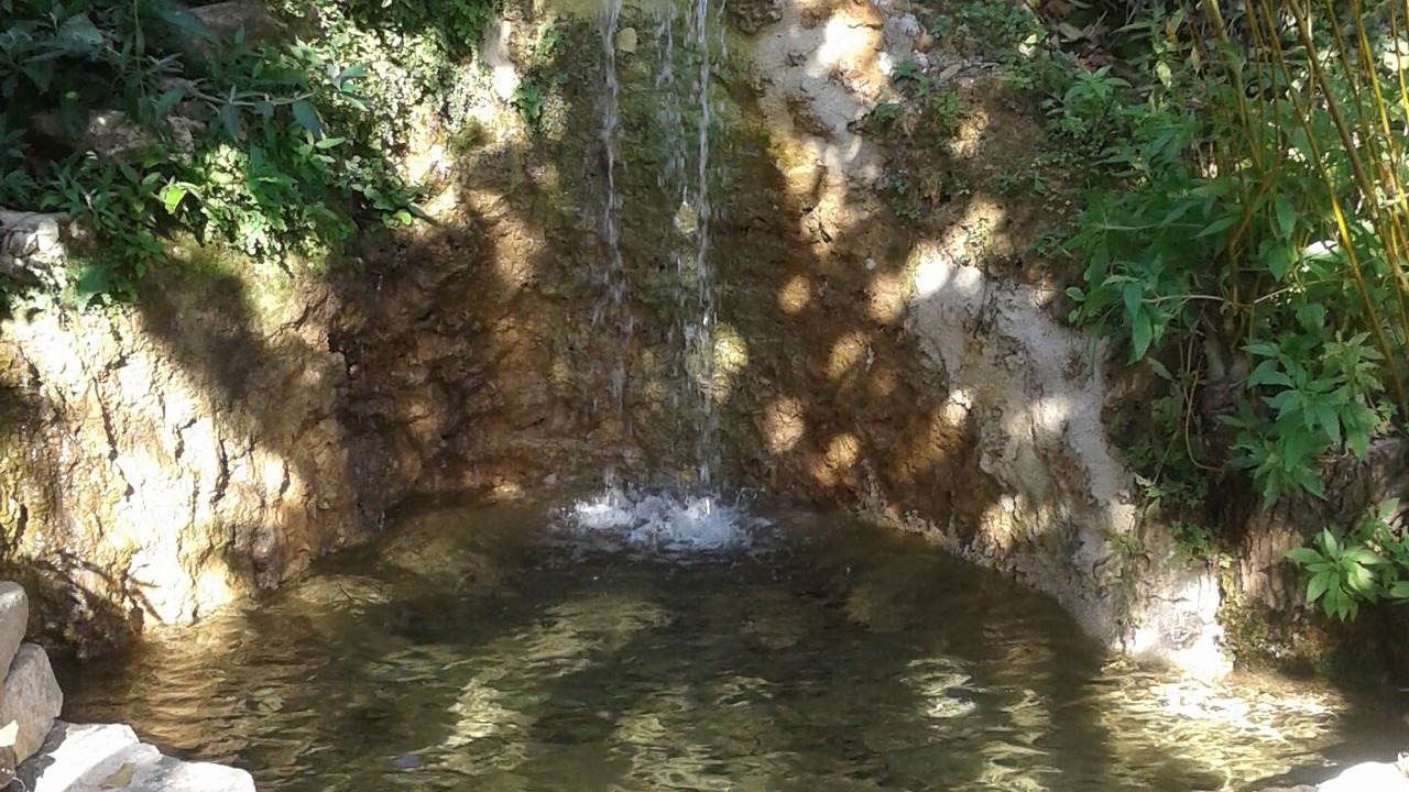 Photo of Others in Salles-la-Source