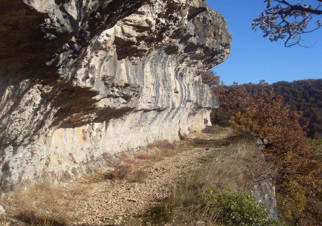 Photo of Others in Salles-la-Source