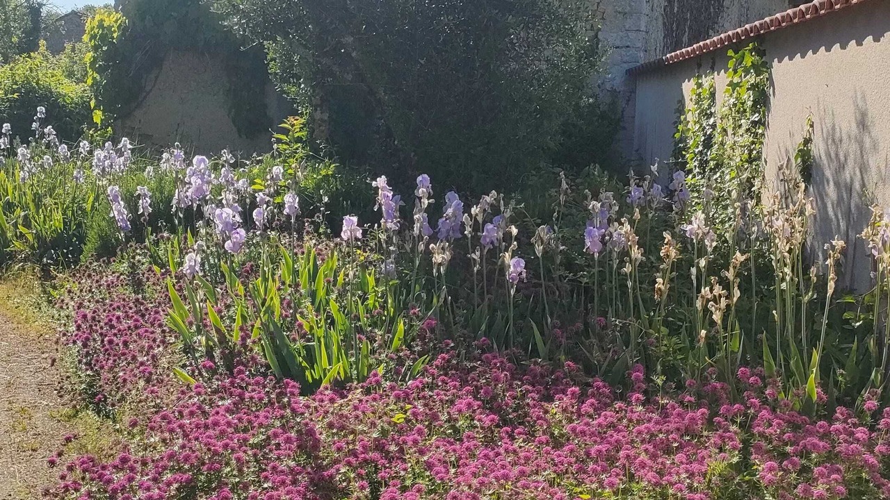 Photo of Outdoor in Villiers-le-Roux