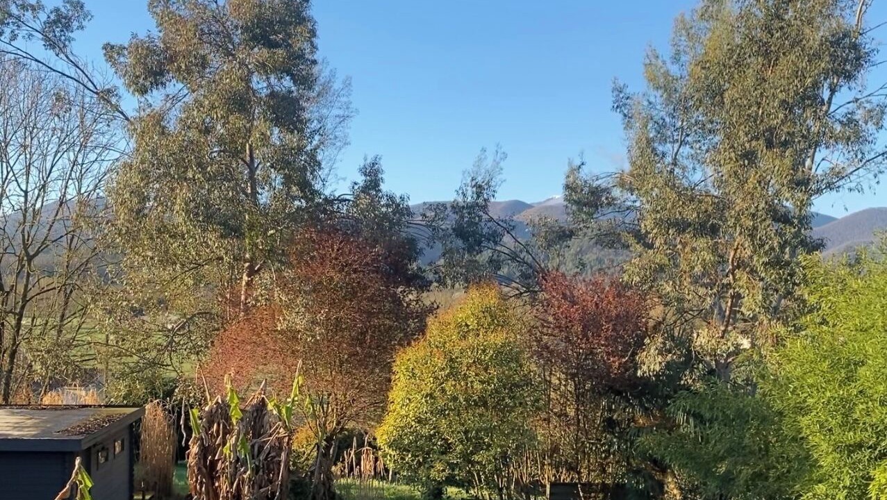 Photo of Outdoor in Tuzaguet