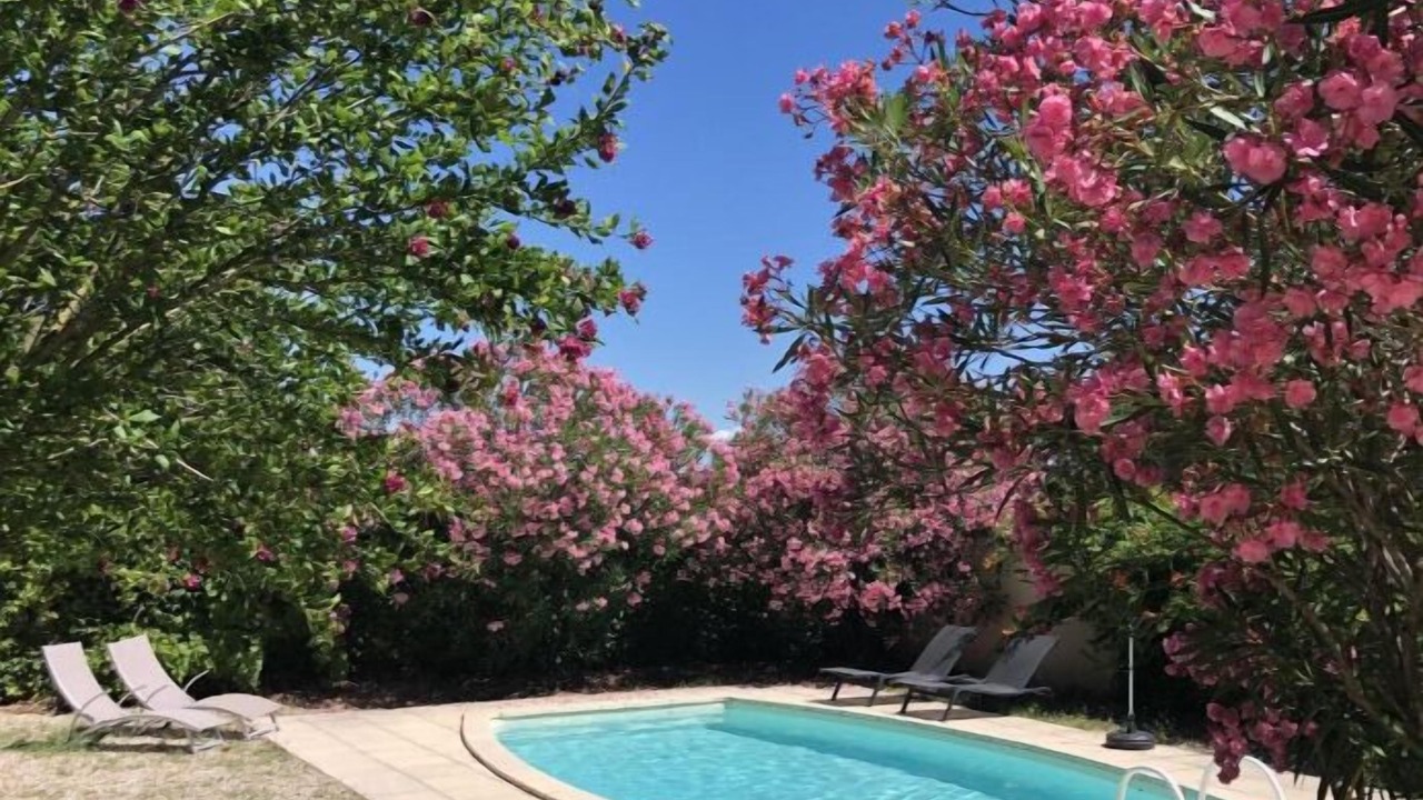 Photo of Outdoor in Mondragon