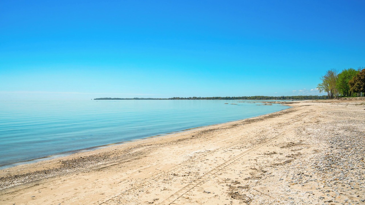 Photo of Others in Fort Erie