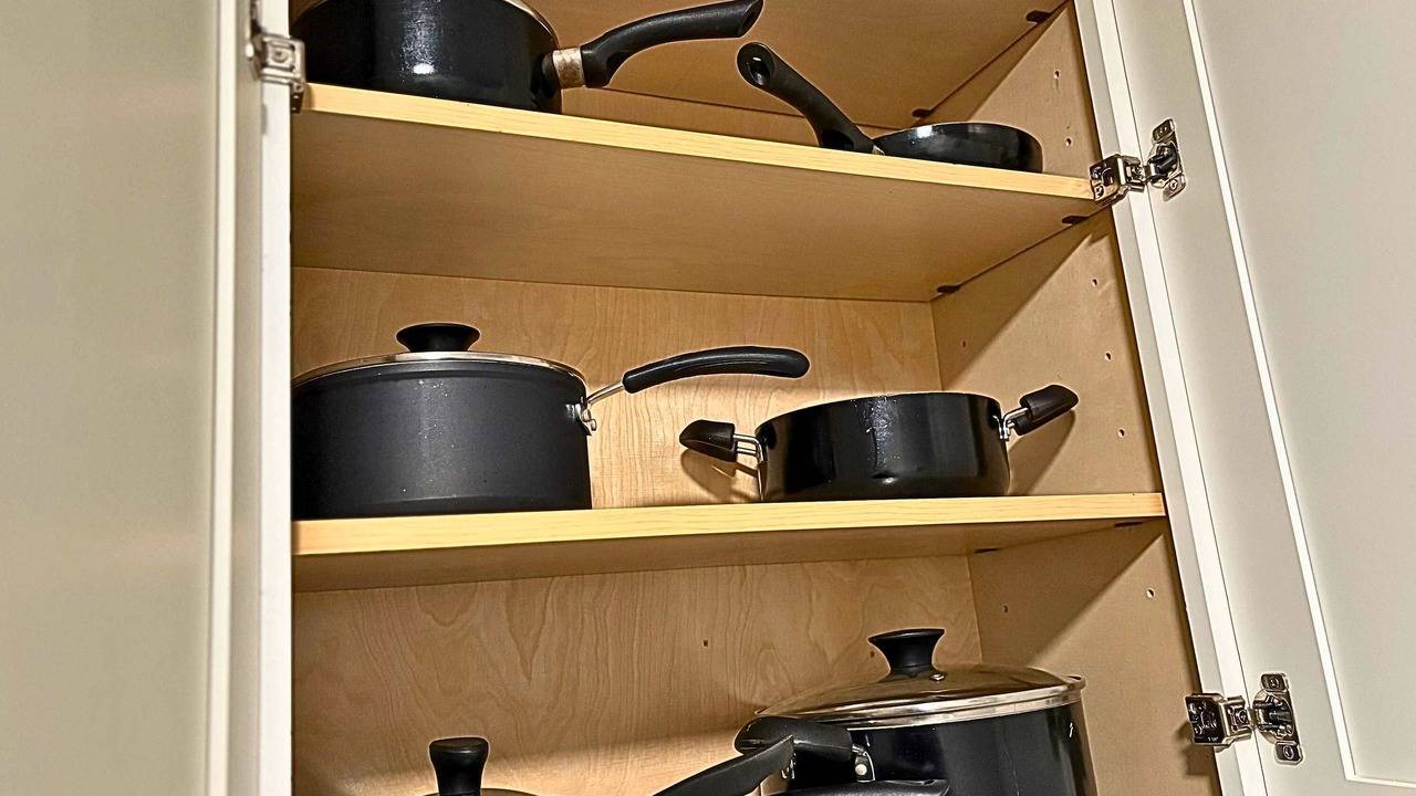 Photo of Others in Sheffield and DePaul