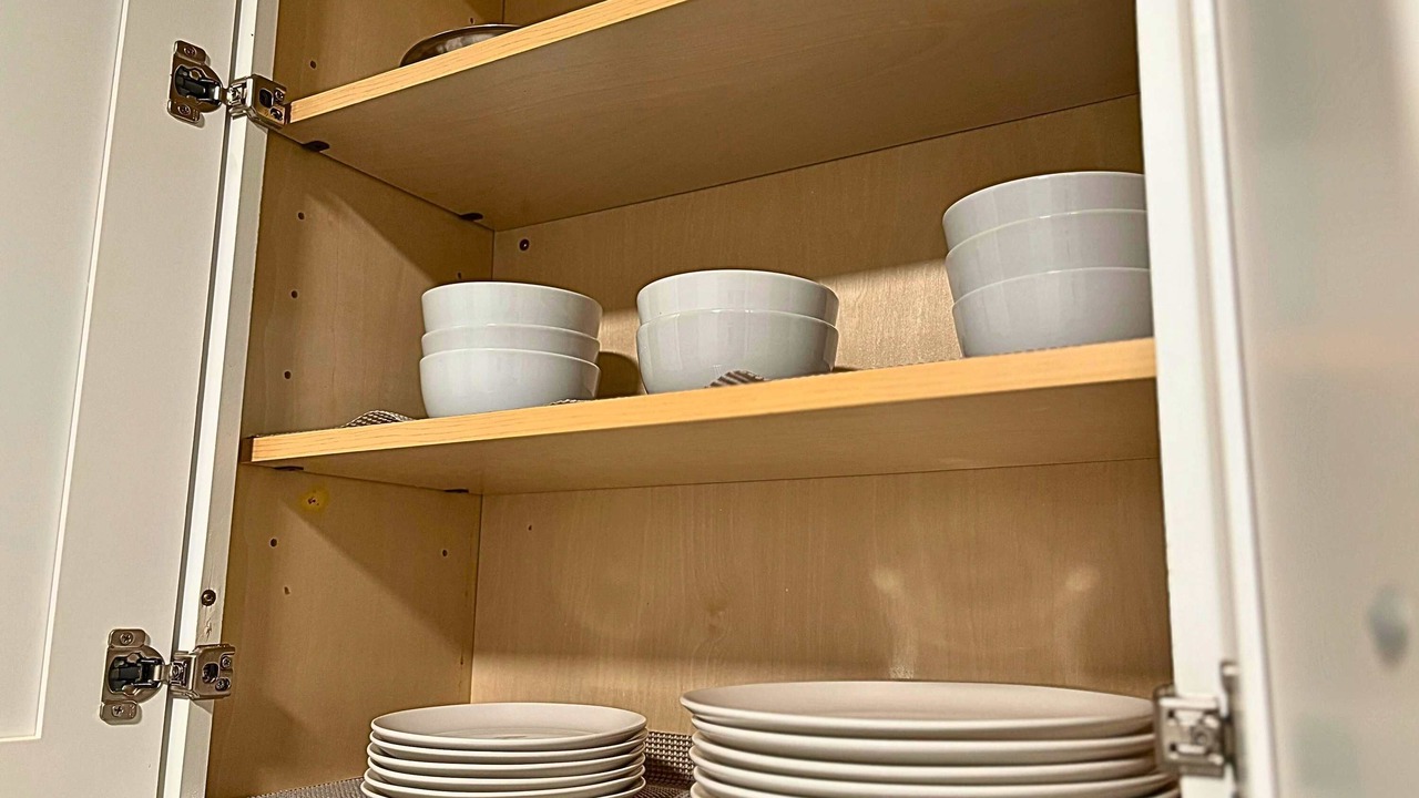 Photo of Others in Sheffield and DePaul