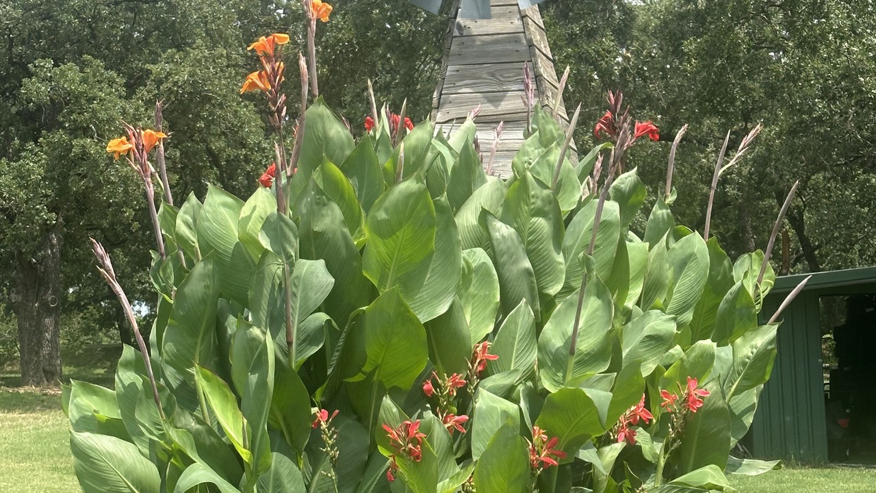 Photo of Outdoor in Pilot Point