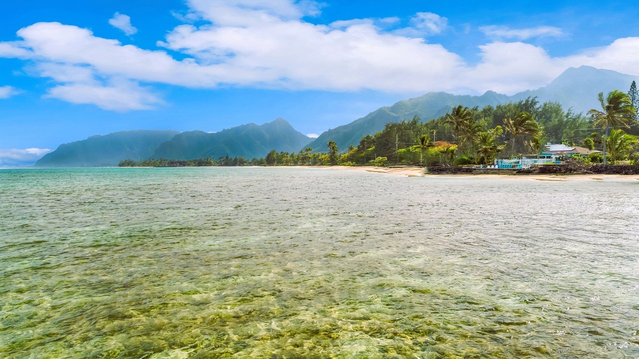 Photo of Others in Hauula