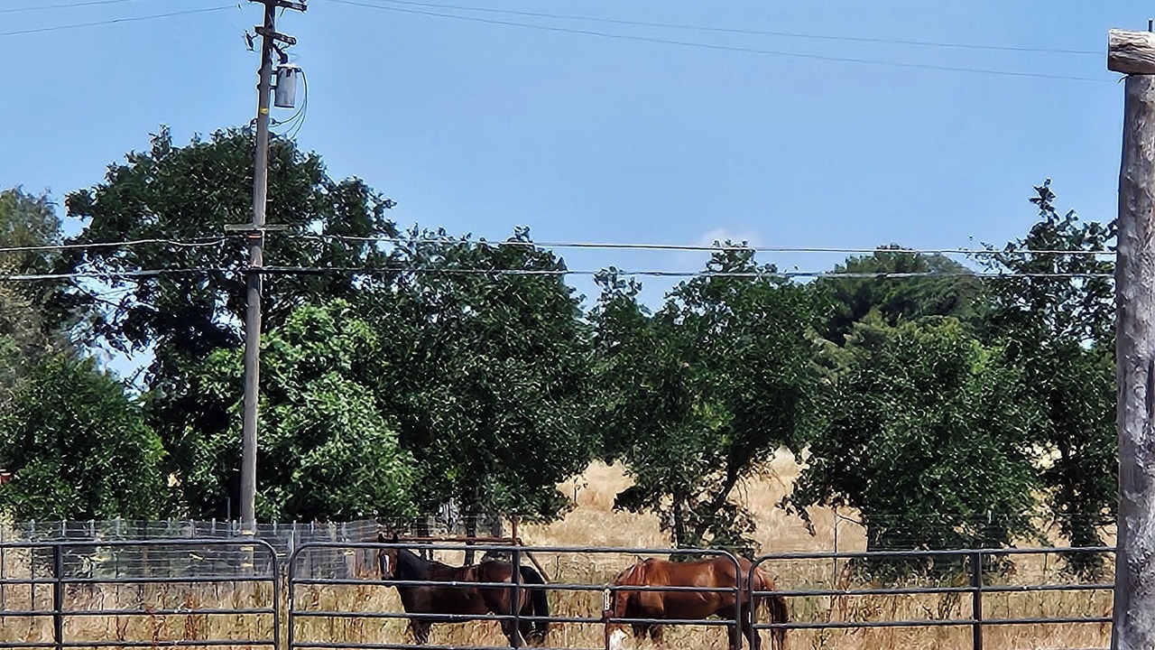 Photo of Others in Rio Linda