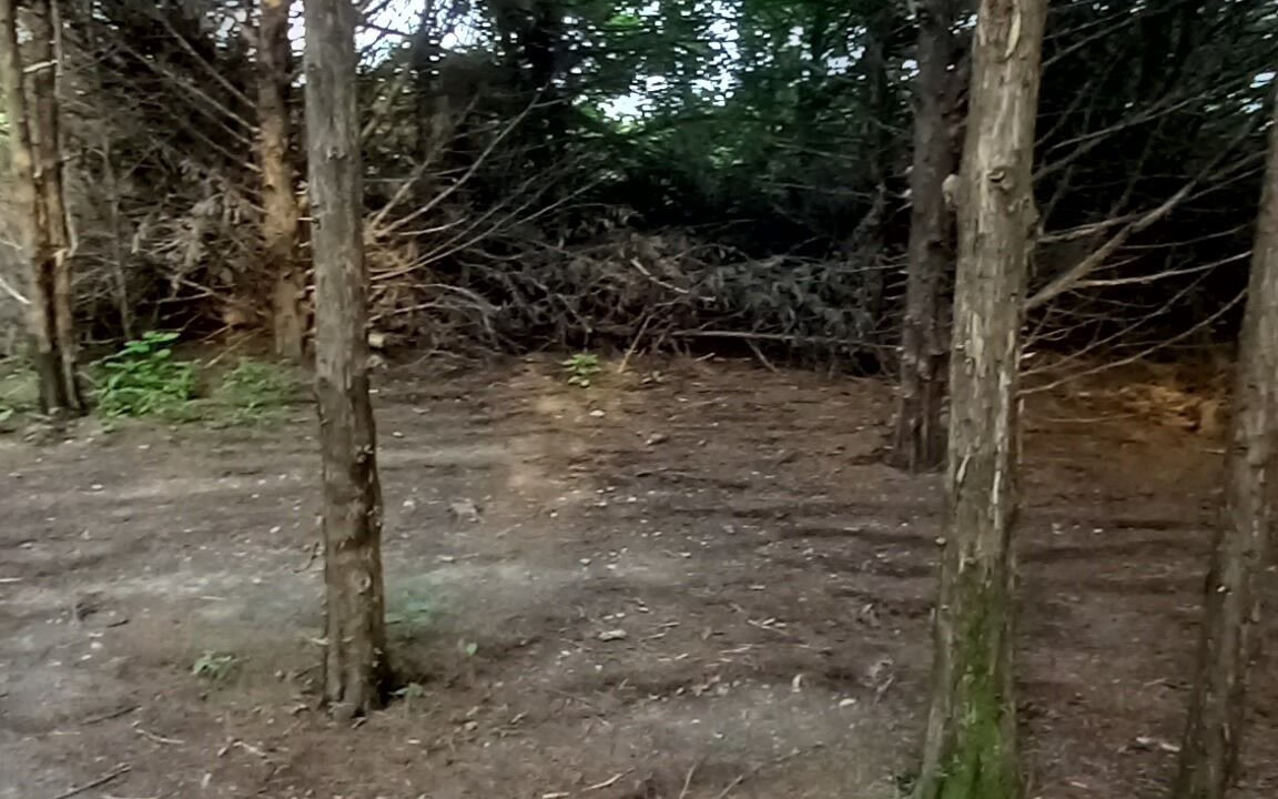 Photo of Others in Elkland