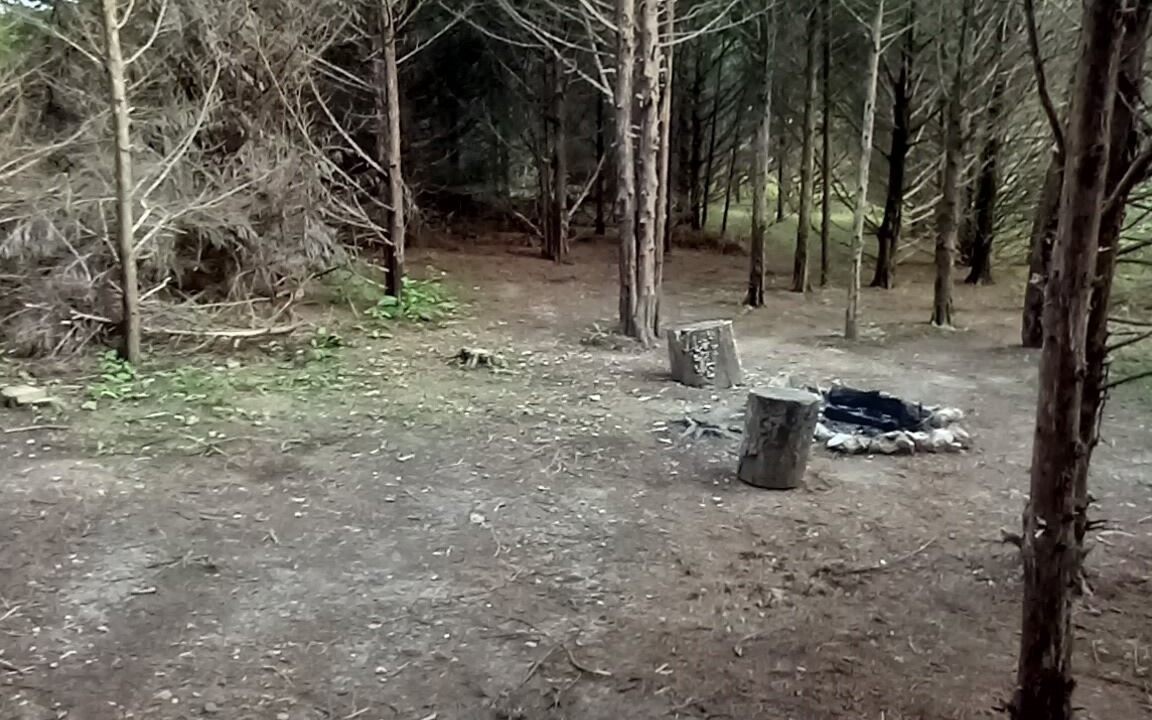 Photo of Others in Elkland