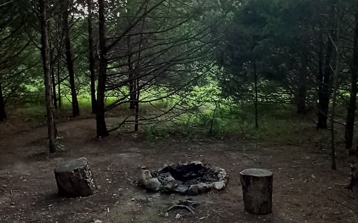 Photo of Livingroom in Elkland