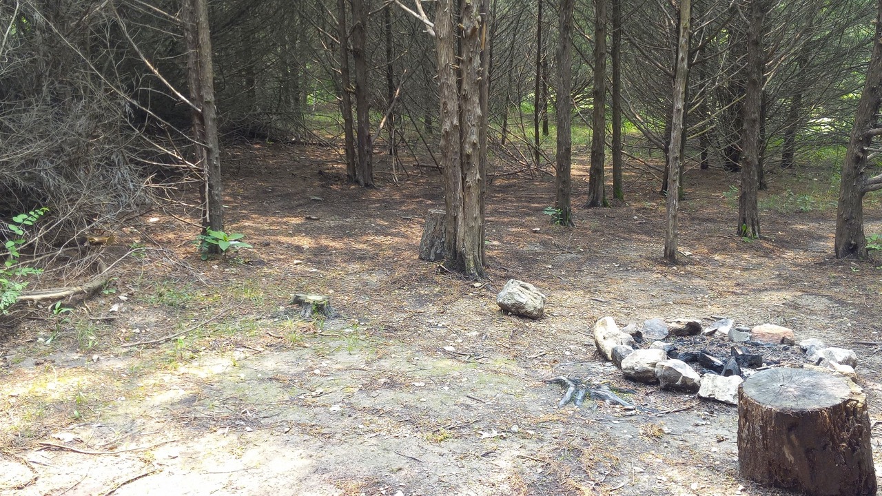 Photo of Others in Elkland