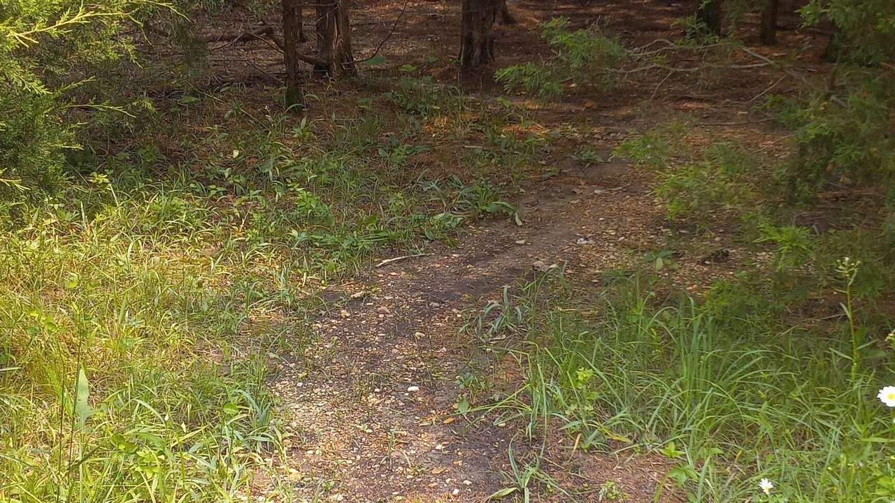 Photo of Others in Elkland