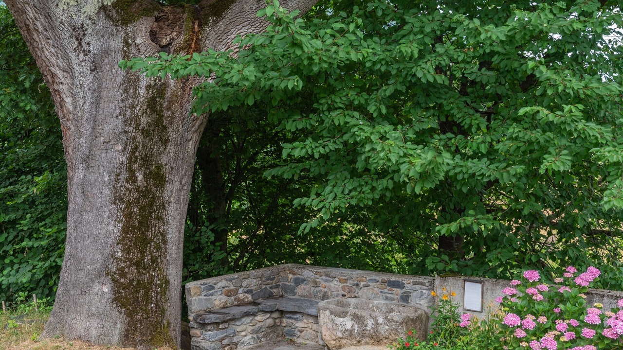 Photo of Outdoor in Heches
