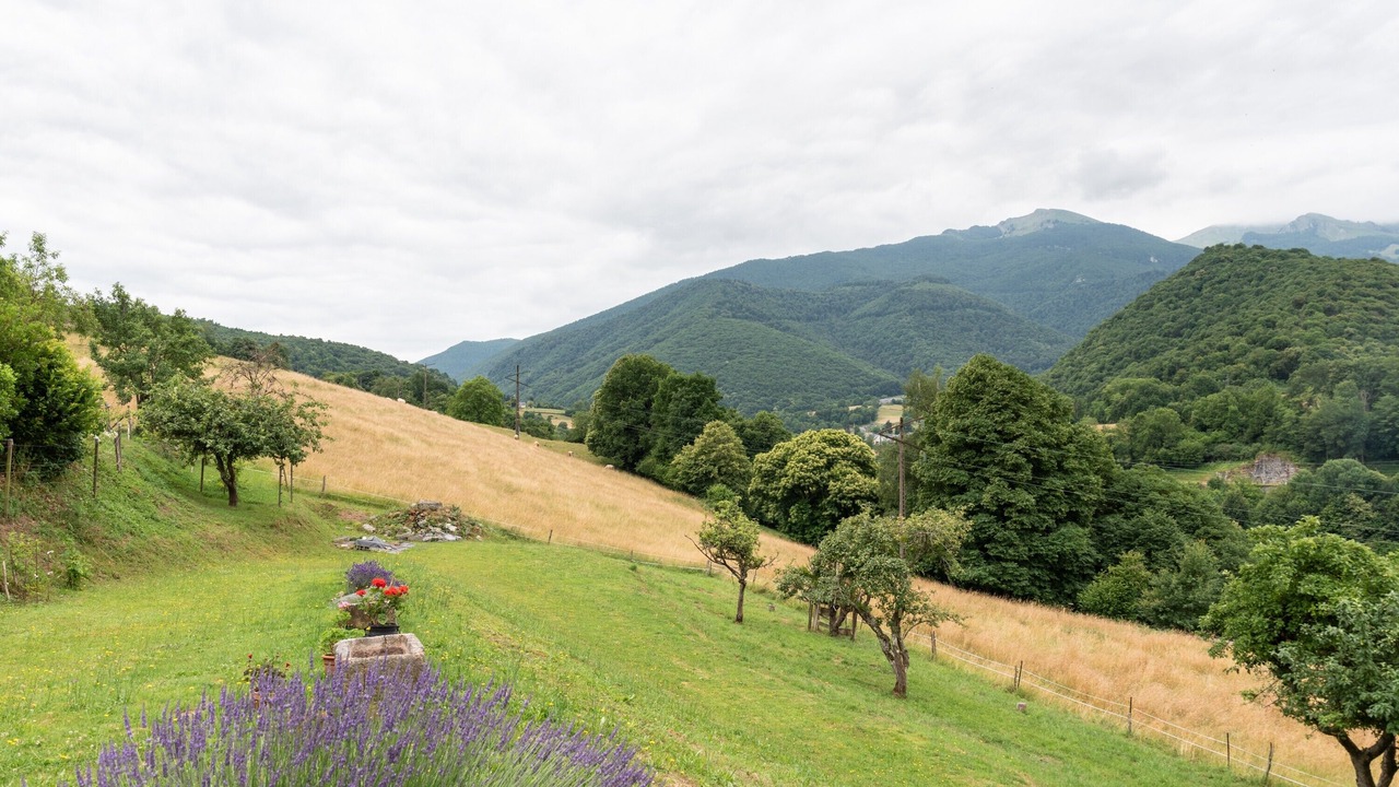 Photo of Outdoor in Heches