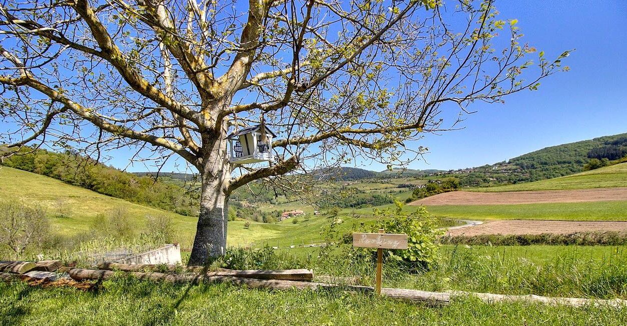 Photo of Others in Thurins