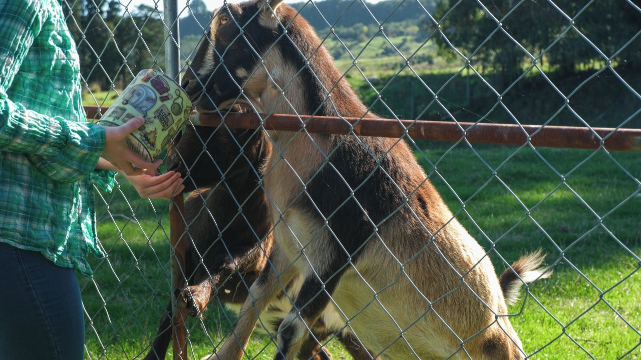 Photo of Others in Hamurana