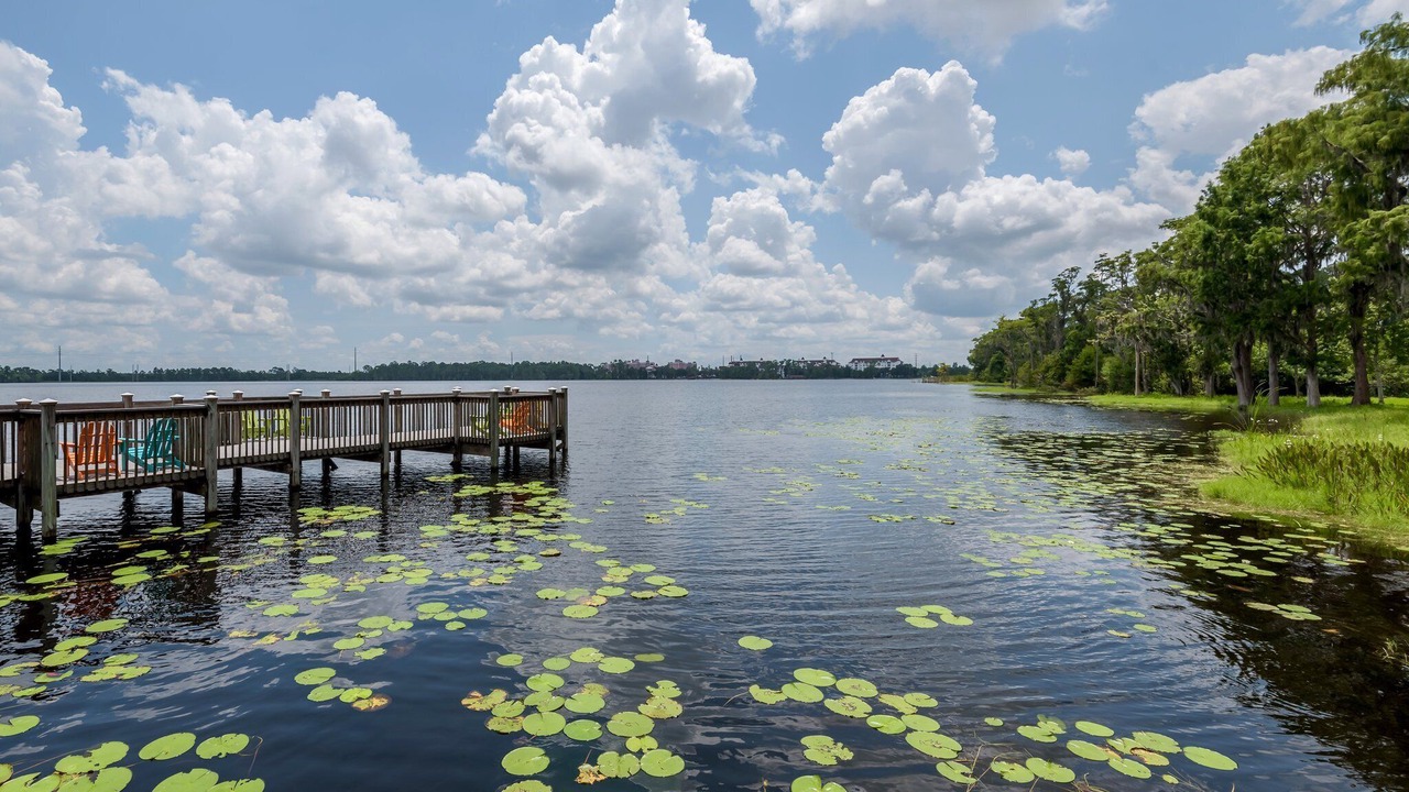 Photo of Others in Florida Central Atlantic Coast