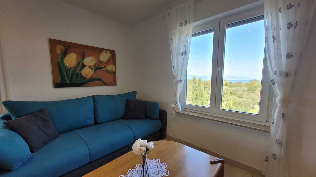 Photo of Livingroom in Milovcici