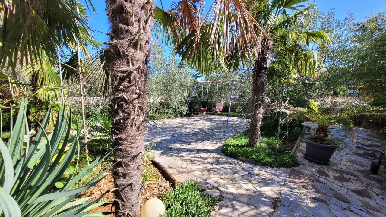 Photo of Outdoor in Milovcici