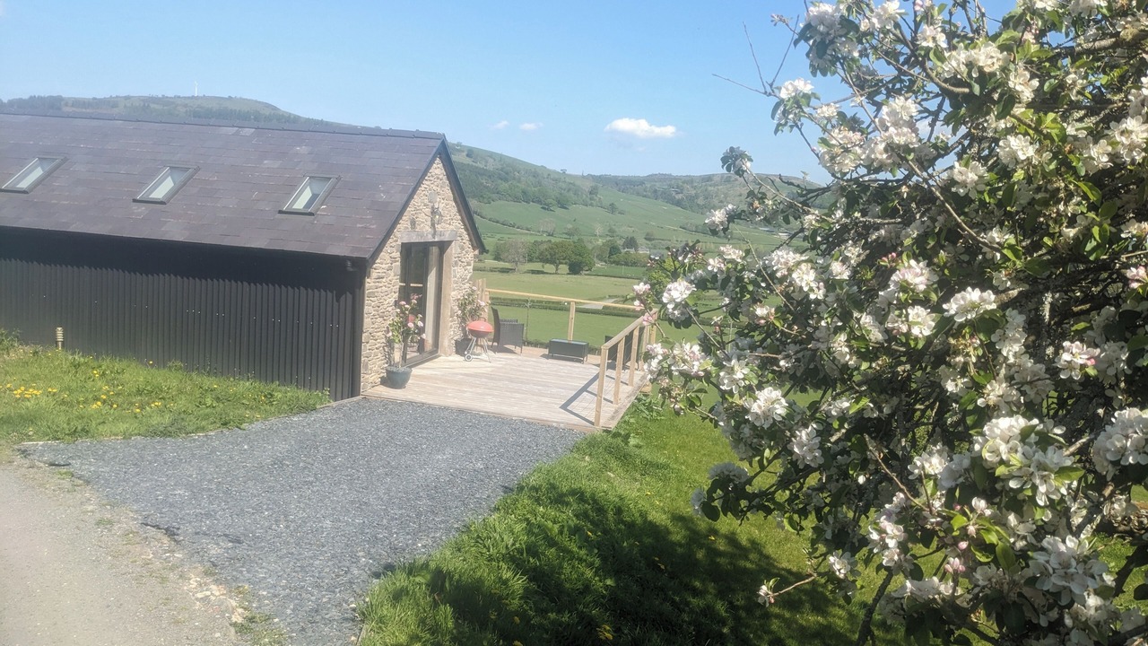 Photo of Outdoor in Llandrillo