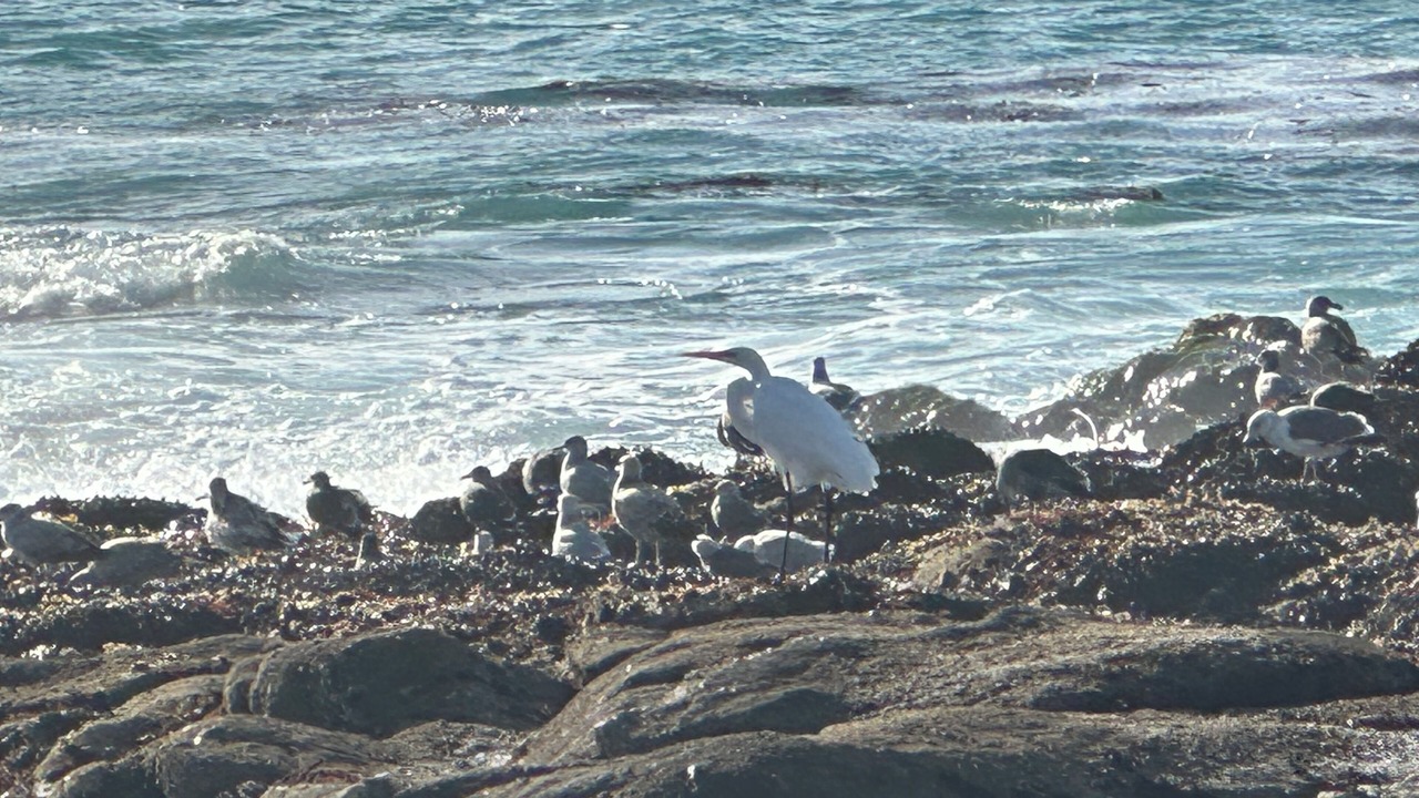Photo of Others in Carmel