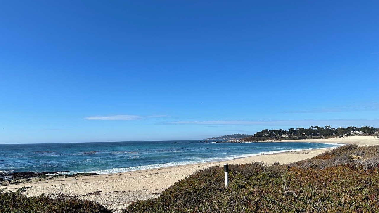 Photo of Others in Carmel