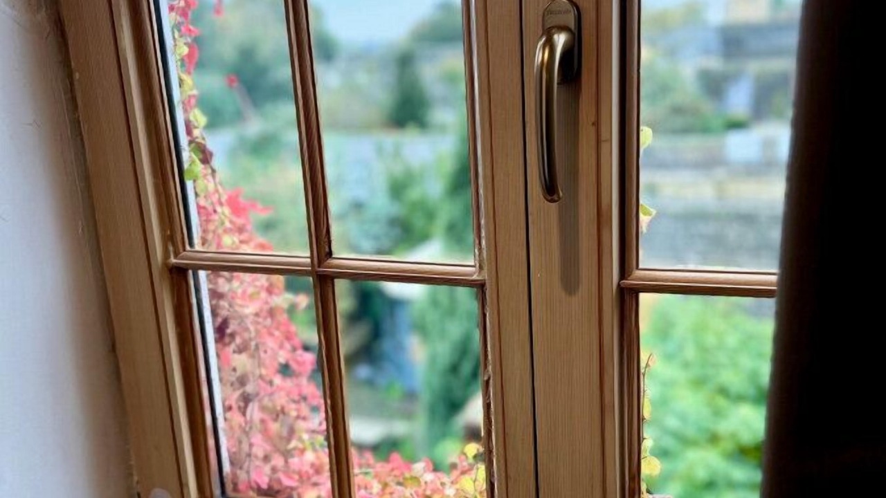 Photo of Others in Blenheim