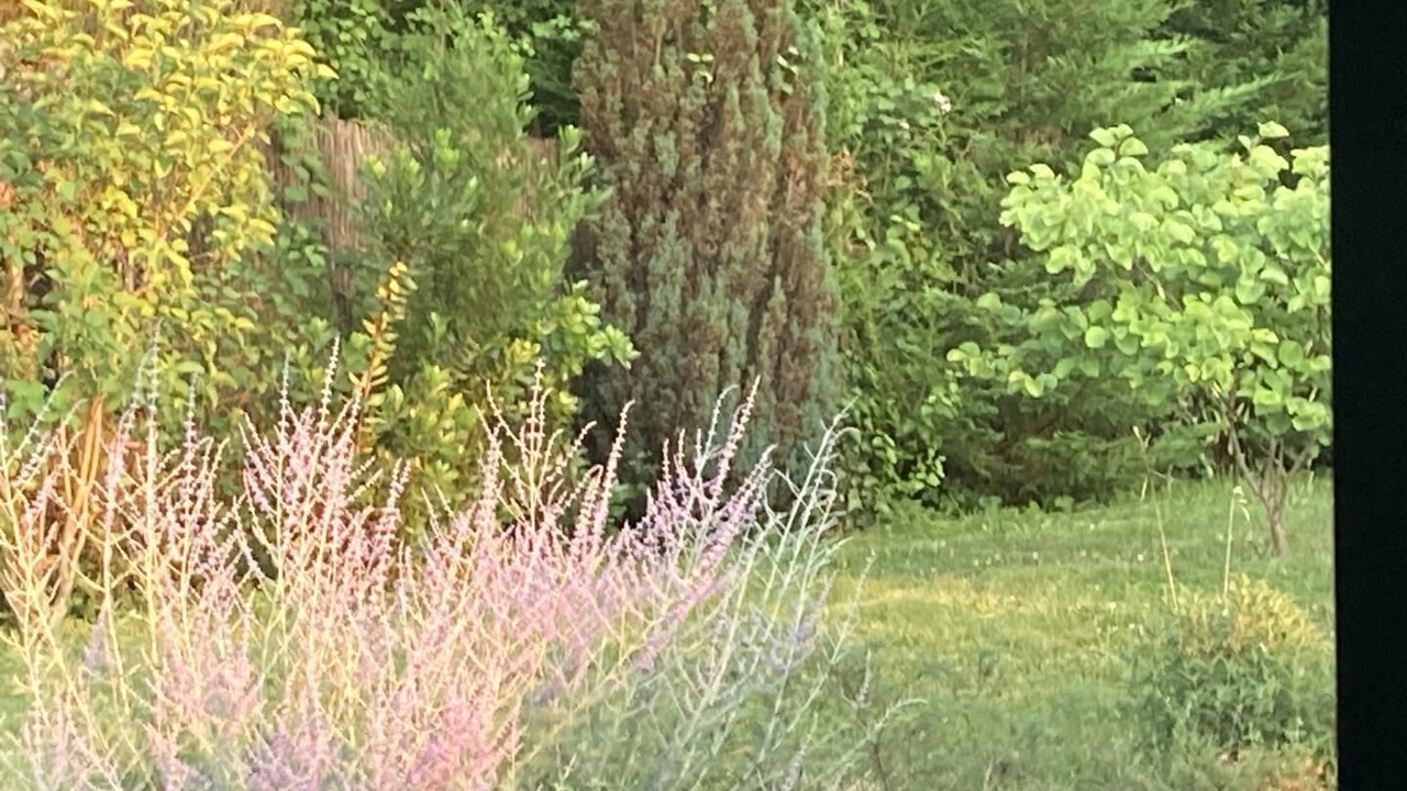 Photo of Outdoor in Aix-les-Bains