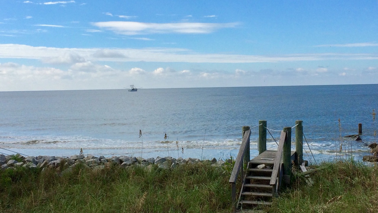 Photo of Others in Saint Helena Island