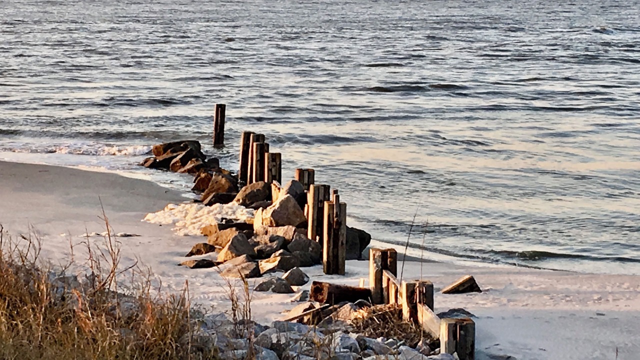 Photo of Others in Saint Helena Island