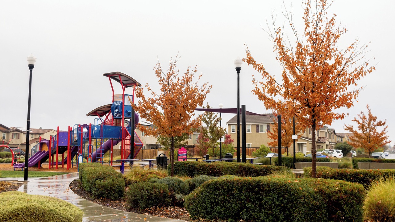 Photo of Others in Roseville