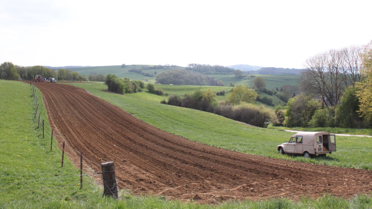 Photo of Others in Sapogne-sur-Marche