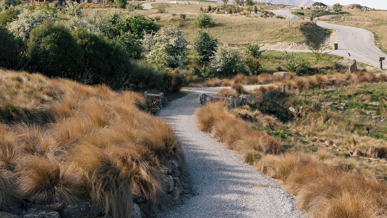 Photo of Others in Cardrona