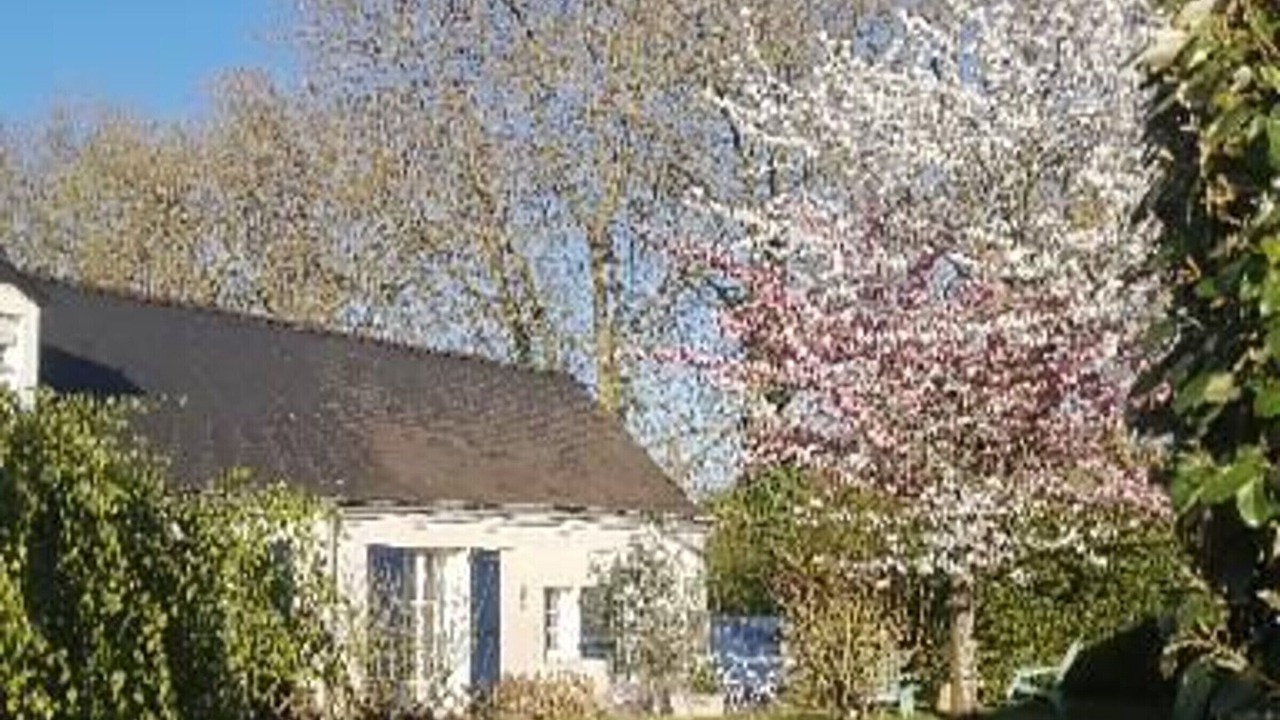 Photo of Outdoor in Loire-Authion