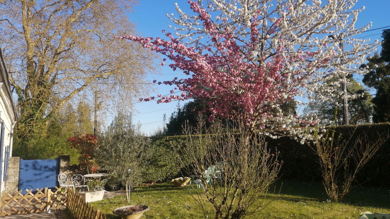 Photo of Outdoor in Loire-Authion