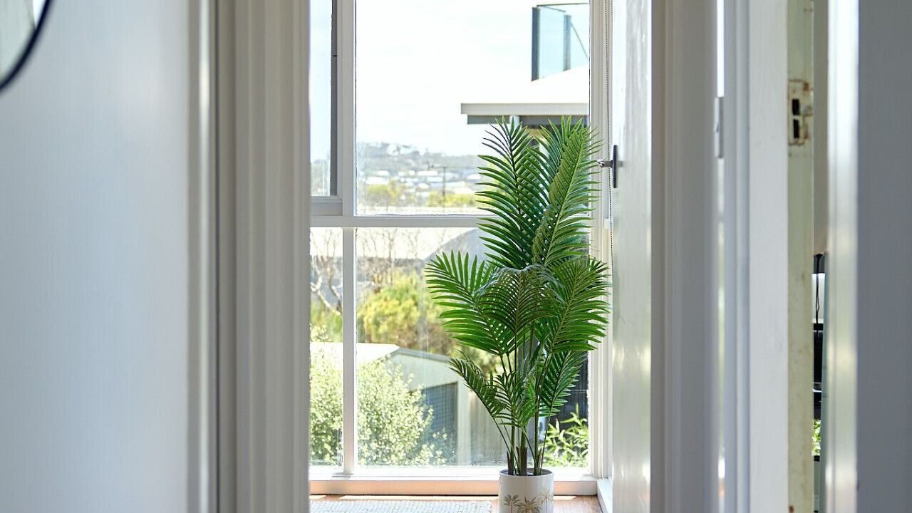 Photo of Others in Jan Juc