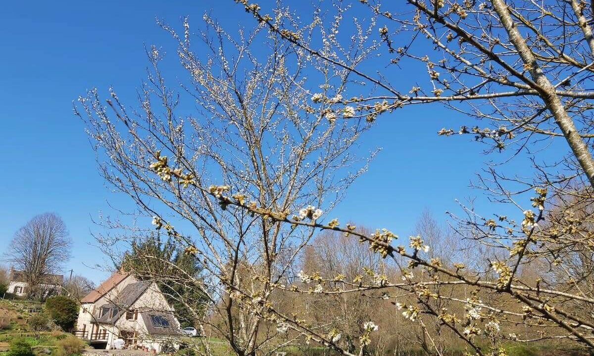 Photo of Outdoor in Sazeray