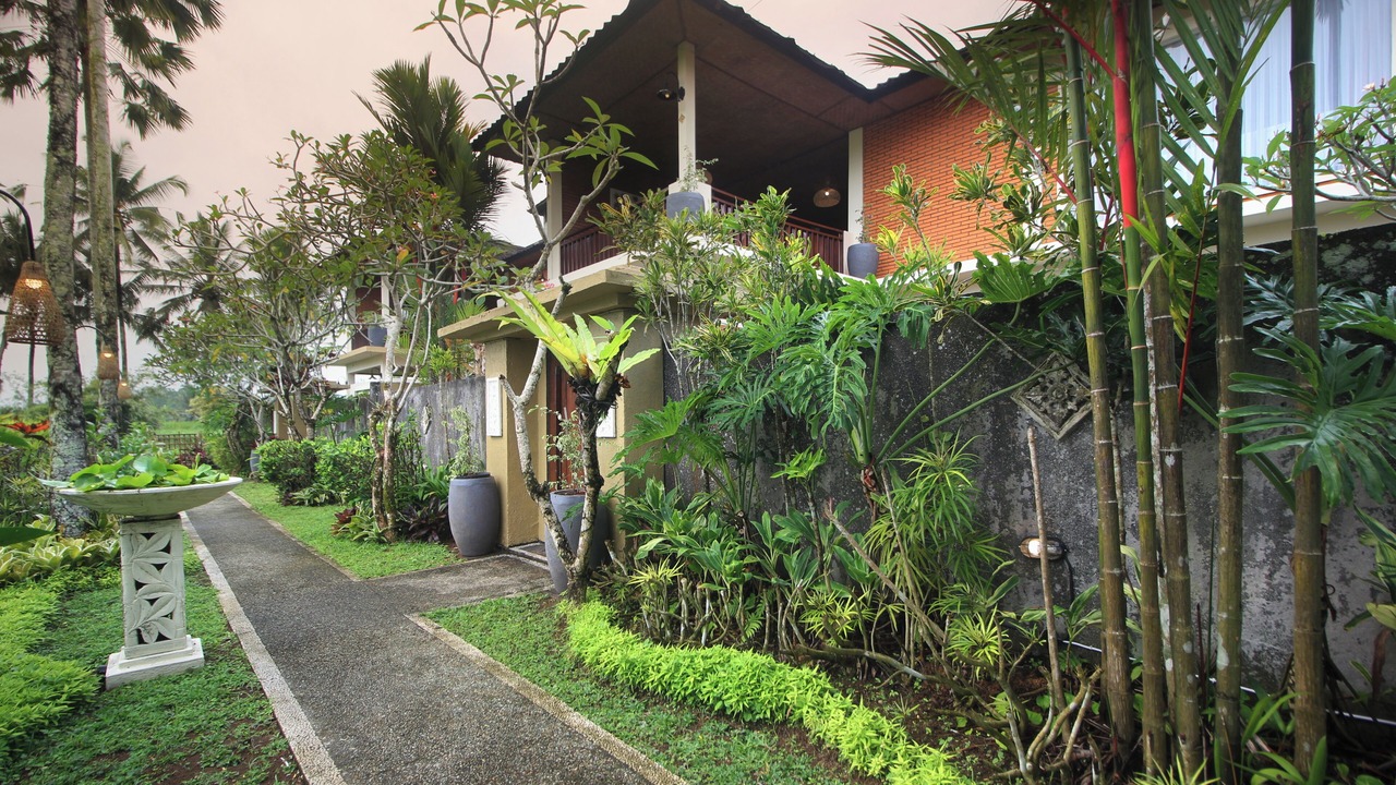 Photo of Outdoor in Payangan