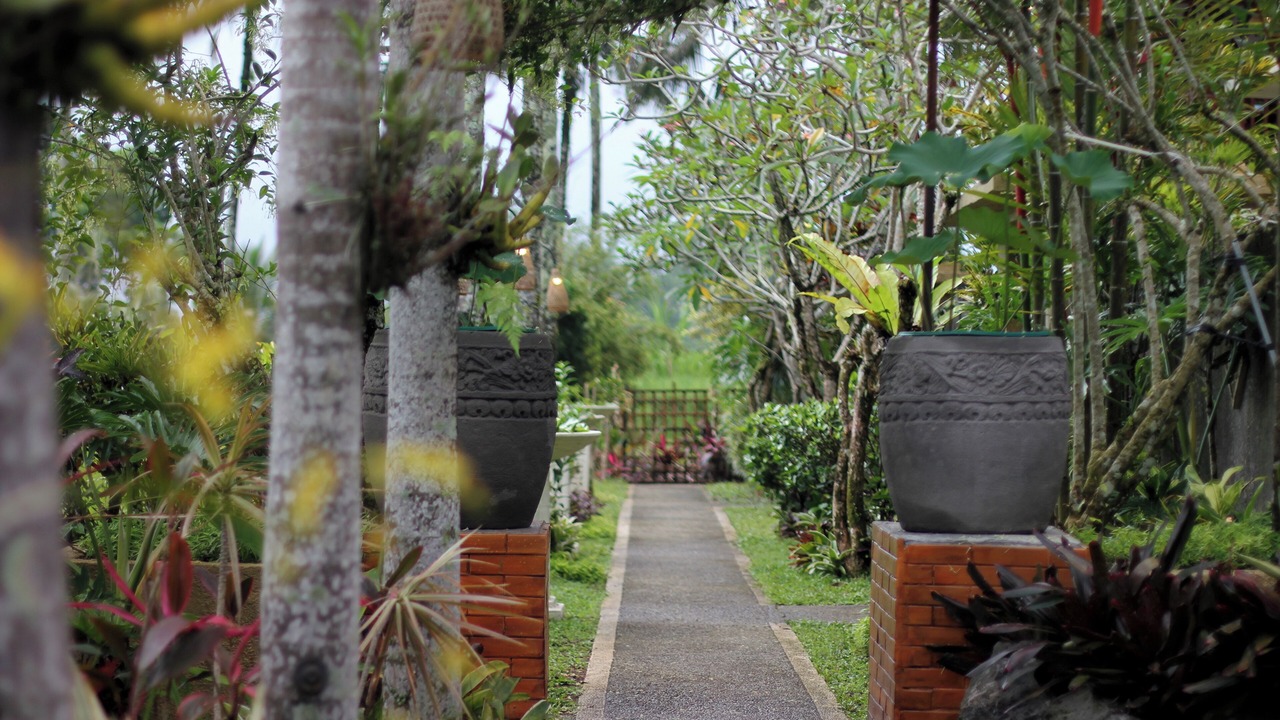 Photo of Outdoor in Payangan